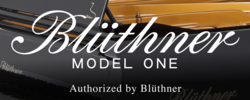 Blüthner Model 1